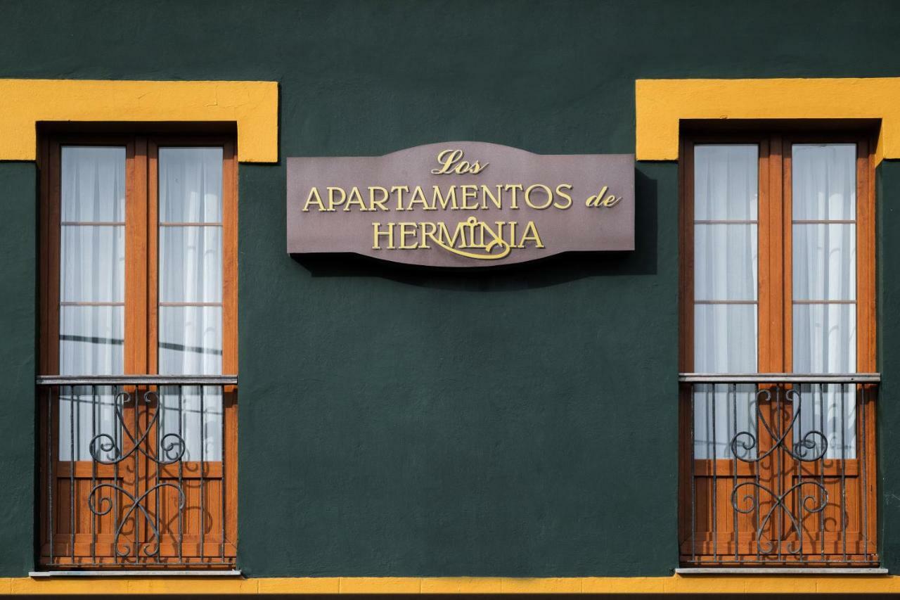Apartamentos De Herminia Manzaneda  エクステリア 写真